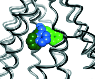 Structure-Based Ligand Design