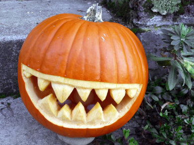 Happy Halloween – What To Do With Your Pumpkin