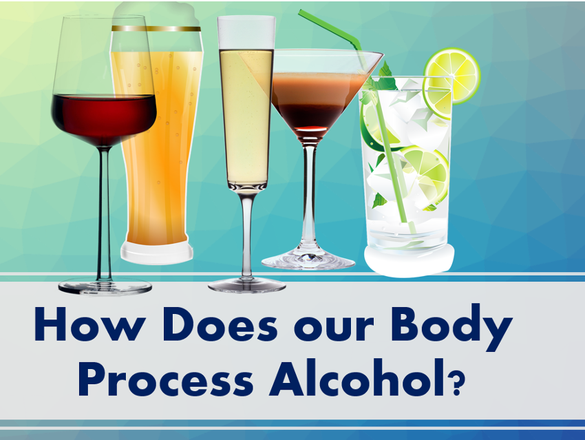 How Does Our Body Process Alcohol?