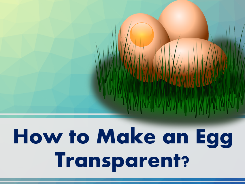 How to Make an Egg Transparent?