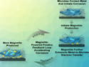 How does Anaerobic Microbial Iron Corrosion Work?