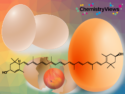Using Eggs to Explore the World of Chemistry