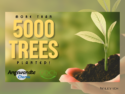 One Submission = One Tree: Angewandte Chemie Plants 5000th Tree