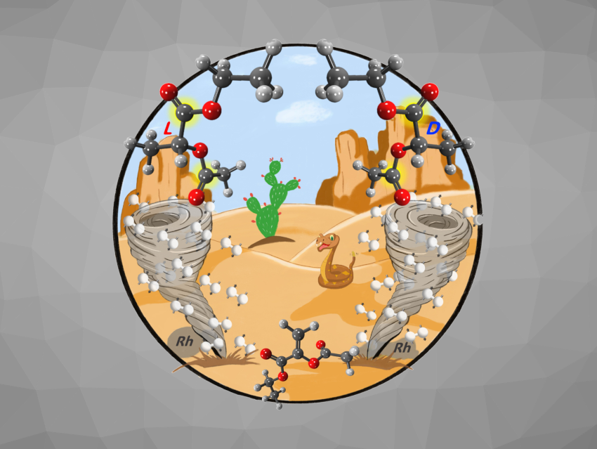 Angewandte Chemie 46/2023: Sustainable Strategies