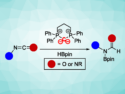 Hydroborations Using a Cyclic Carbodiphosphorane Catalyst