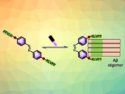 Molecular Tweezers Capture Specific Amyloid Oligomers