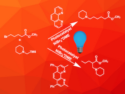 Regiodivergent Aminoalkylation of Alkyl Halides