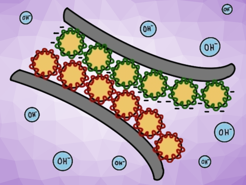 A Reversible Water-Based Electrostatic Adhesive