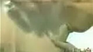 sexy stori porn video